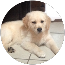 Julie Smart profile picture