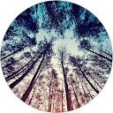 Megan Zika profile picture